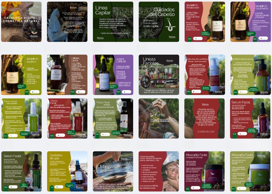 Vista 2 del proyecto