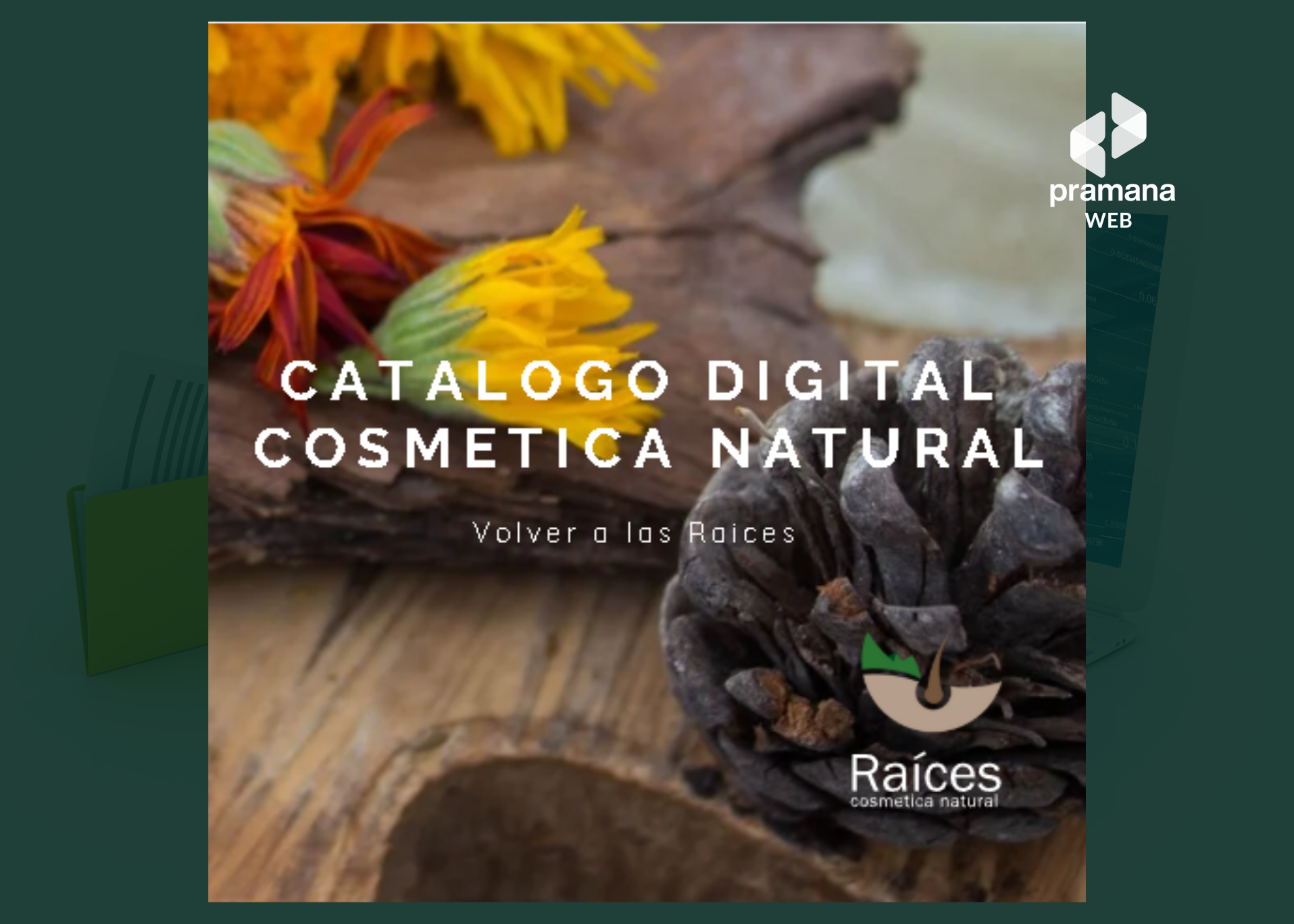 Vista 1 del proyecto